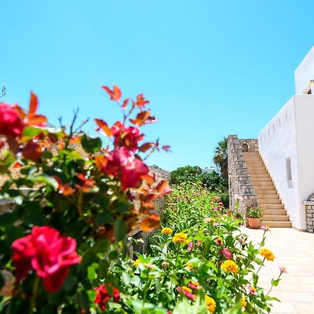 אמורגוס Villa Andromeda מראה חיצוני תמונה